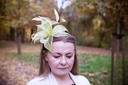 Fascinator Haarschmuck Hüte Damen Kopfschmuck Haarreif Anlasshüte Hawkins Neu