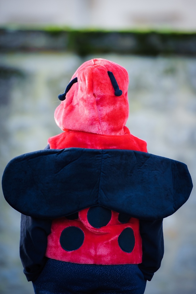 Flauschige Kinderweste in Pink mit Marienkäfermotiv, Kapuze. Unterhaltsam