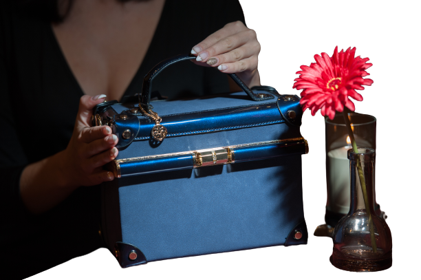 Clutch Box Koffer Damen Tasche Umhängetasche cosmetic Bag