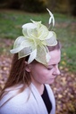 Fascinator Haarschmuck Hüte Damen Kopfschmuck Haarreif Anlasshüte Hawkins Neu